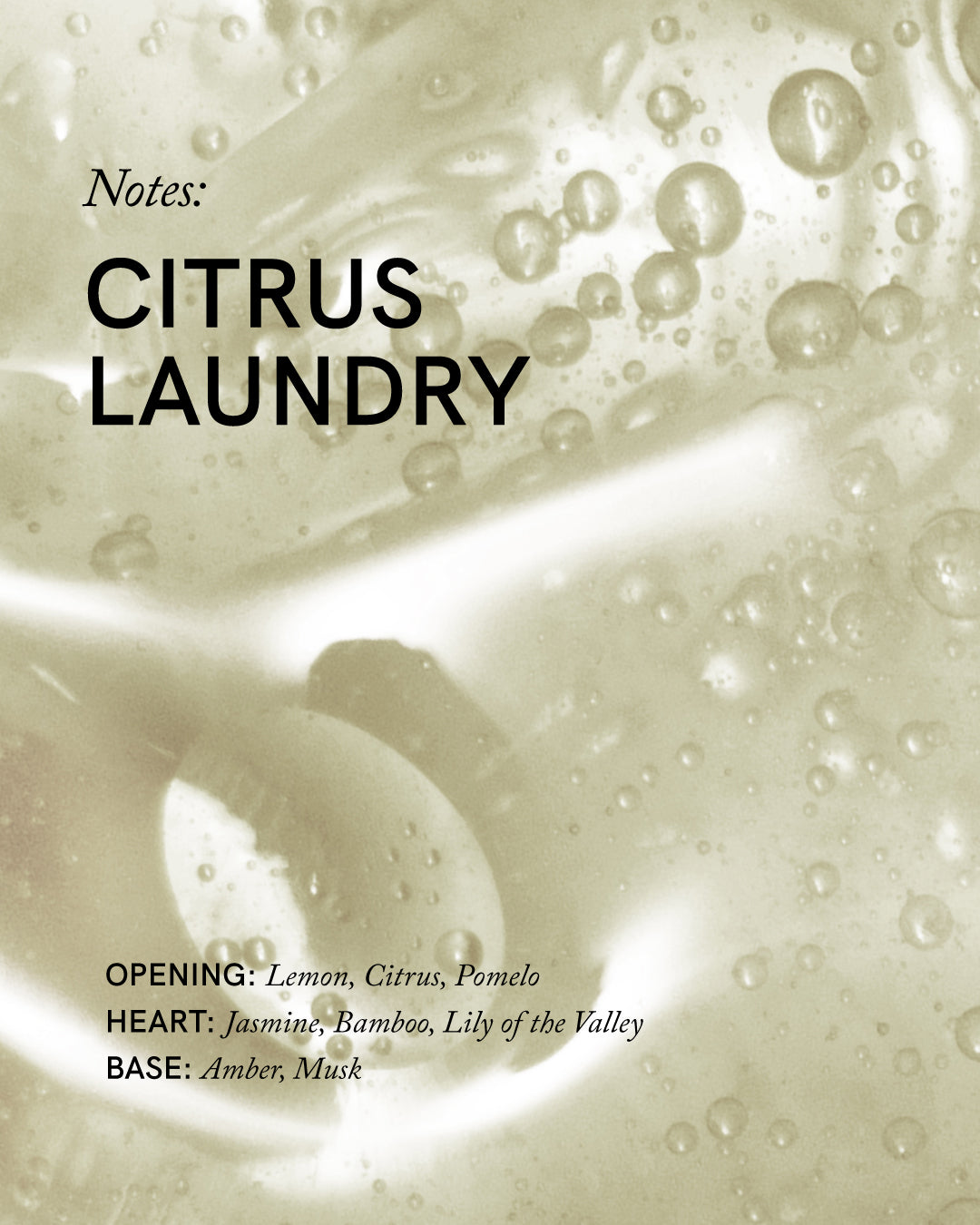 citrus laundry